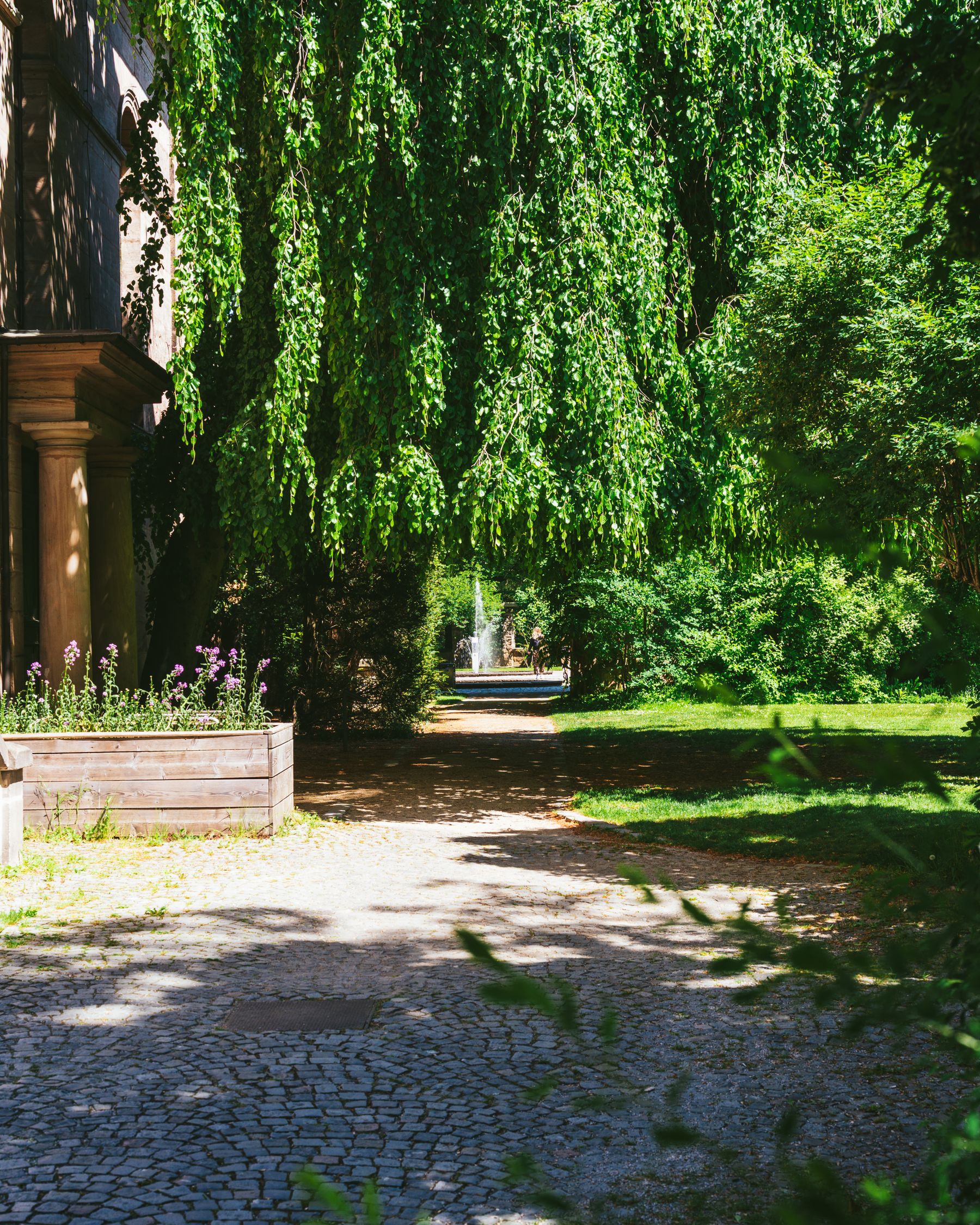 Landscaped garden