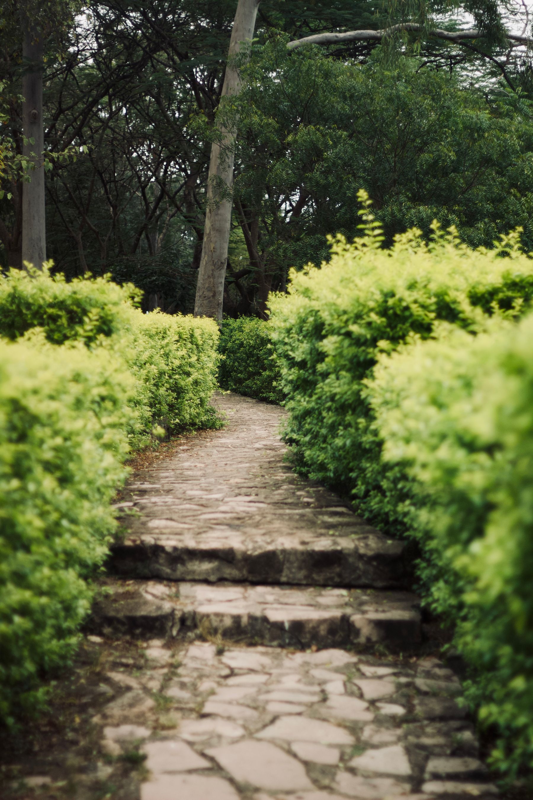 Stone steps