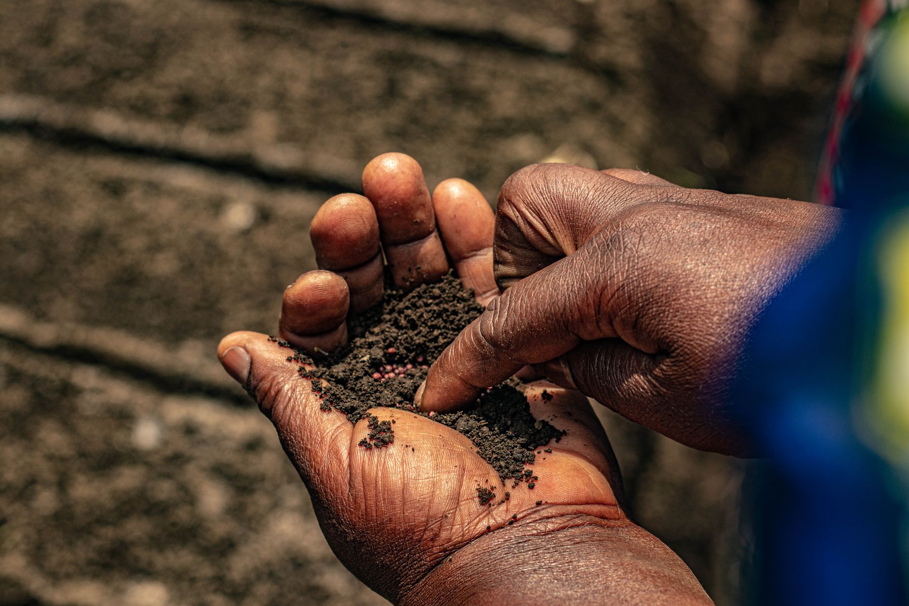 Soil and seeds